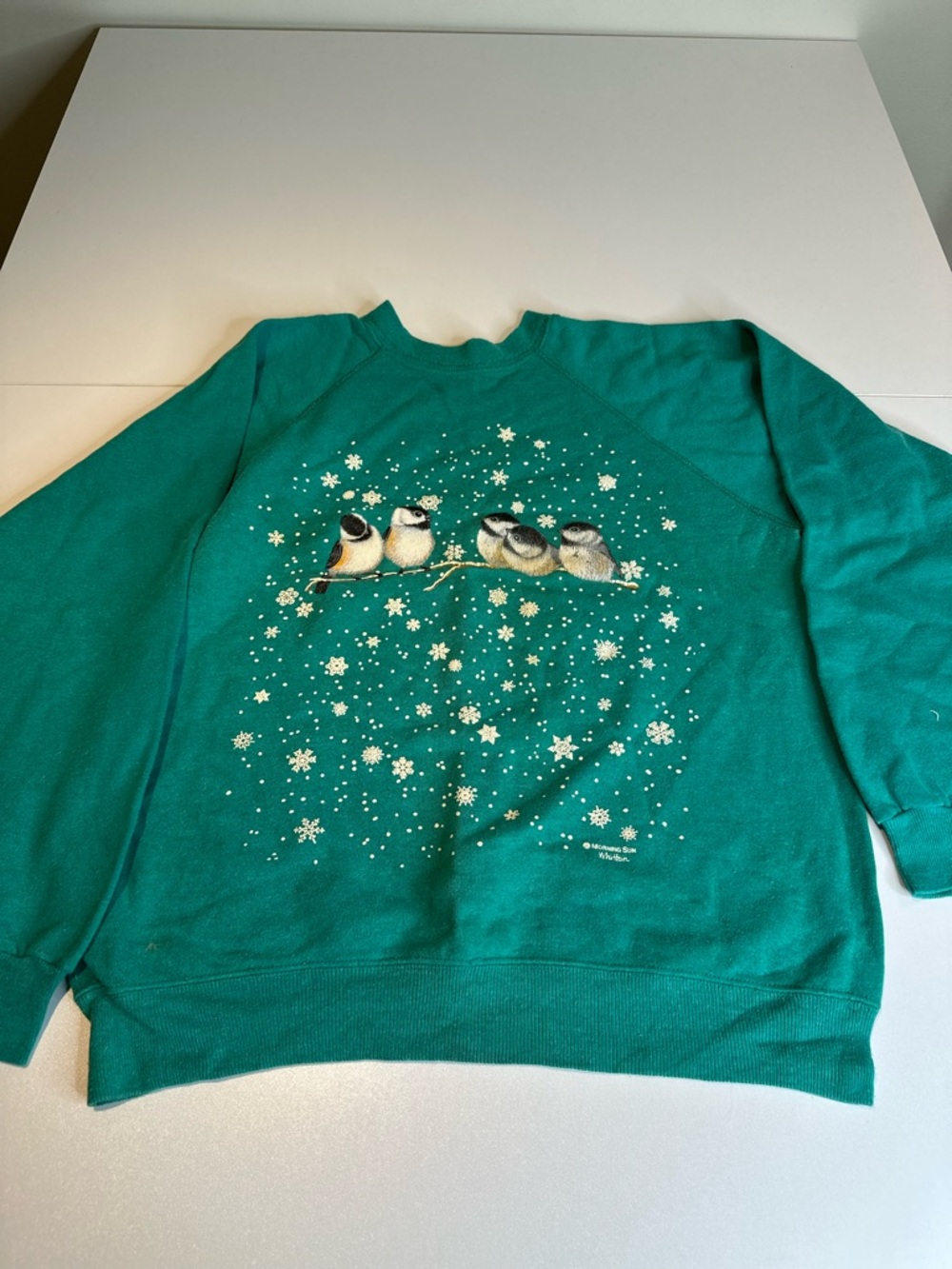 Hanes Teal Crewneck Sweatshirt with Winter Bird Print